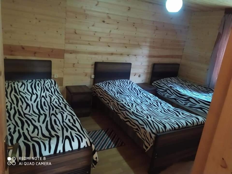 Guesthouse Luka Ushguli Exterior photo